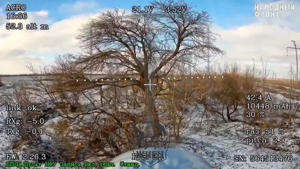 ����� �.�.������. �������� ����� ������������� "����" 58 ����� ��������� ������� ����� ����������