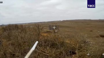 ��������� ���� ���������� ������� ��-19, ���������� � ����������� ��� �� ���������� � ����������� �������