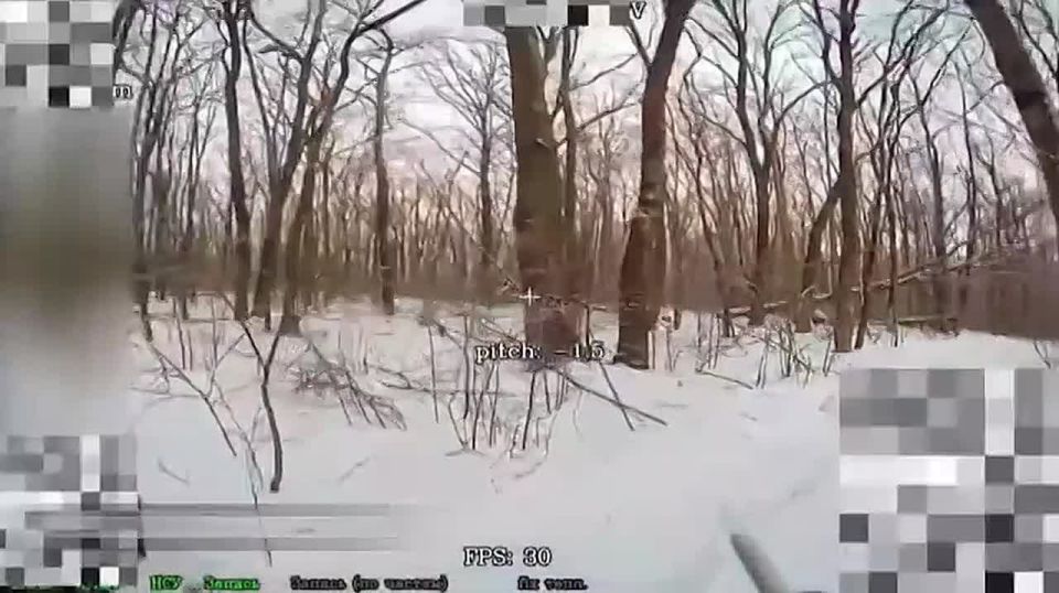 ���������: ����� ������ ���������� ������ ������