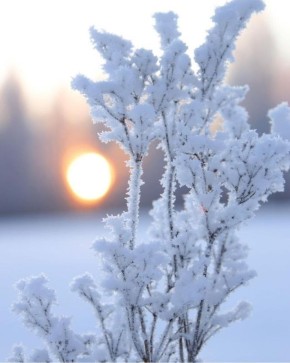 Добрый вечер!