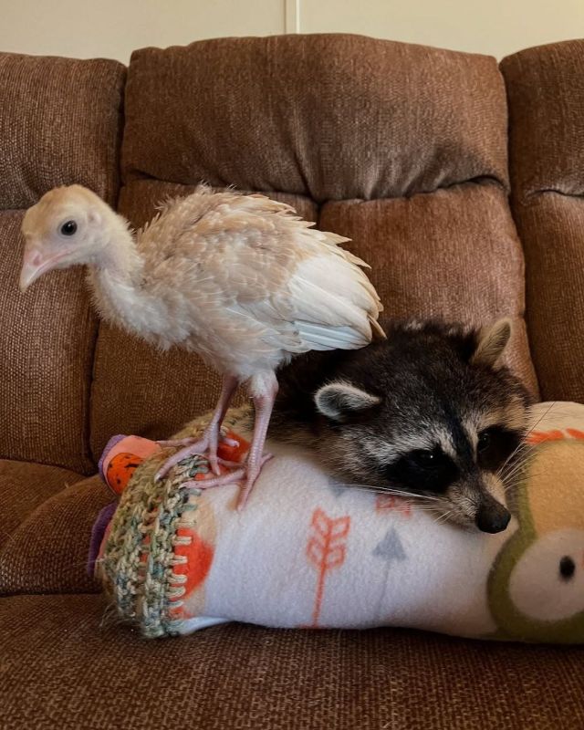 ������ ����, ������! �������� ��� ��� � ��������� ����������!