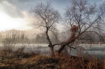 Доброе утро. А вы знали, что сегодня