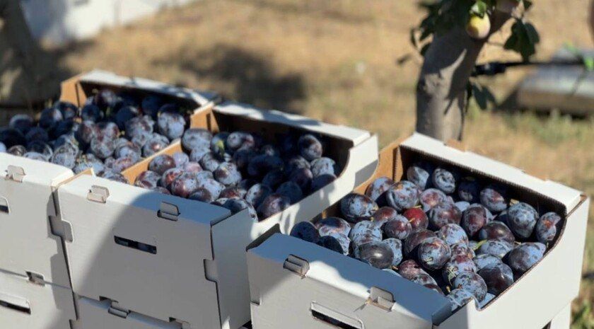 �������� ��� ��� ��������� ������� ��������� ����� 60 �������� � ���