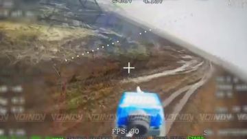 ����������� ��������� ��� ���������� ����������� ���� 37 ����������� ������� 36 ����� ����������� ����� "������"