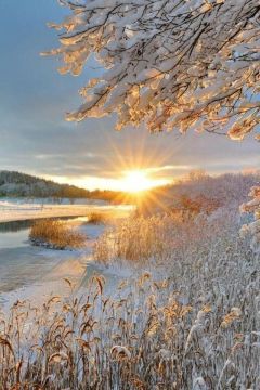 ������ ��� ����!