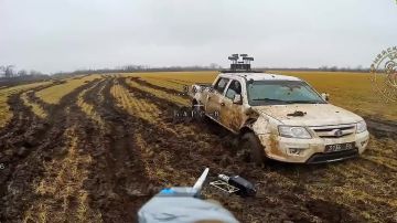 ���� �� ������ ���� ���, �� ��� ������������ ����������� �����������