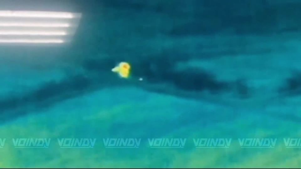 ����� FPV-������ �� ���������� ������������, ��������������� � ���� �������������� ����������� �� ����� ����������� � ���������������� ��������