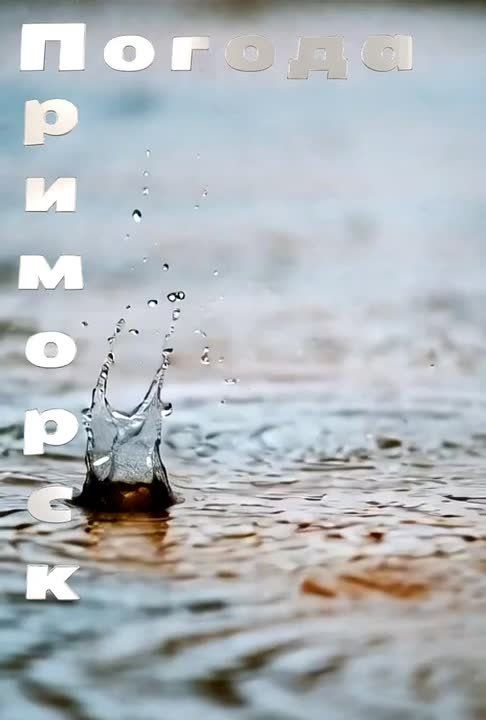 ������ �������� (���������� �����), 26.02.2026