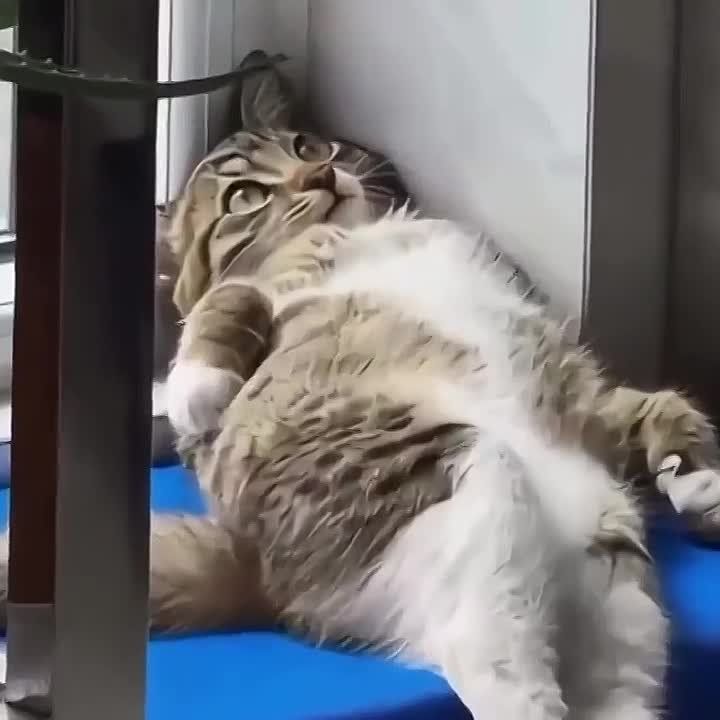 ��� � �����. ����� ����� ������ ��������� ��������� ��� ��. �������������� �� ����������� ������� � MAX, Telegram � ��������� � �������� � ��������