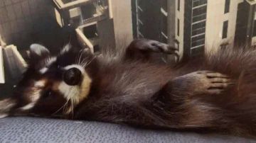 Доброй ночи, дорогие подписчики! Доброй ночи, Запорожье!