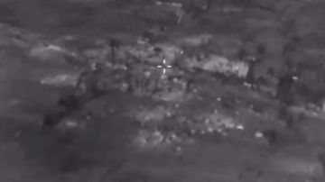 ������������ ����������� ����� ������� ���������� ������� ������ ��� � ����������� �������