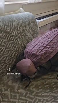 Доброе утро, друзья! Хорошего вам дня и отличного настроения!