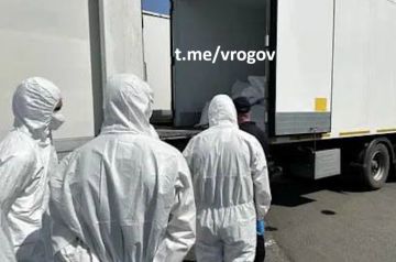 Владимир Рогов: Об обмене телами погибших военнослужащих между Россией и ЗеРейхом