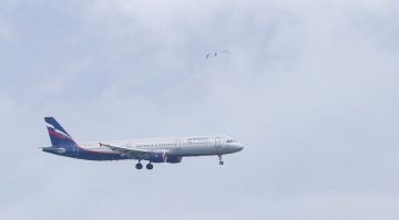 �� �������� ����������� �������� ������� �� ���������� ���������� ���