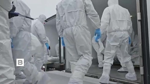 ����� ������ �������� � ������� 35 �� 1000 �������� ����� ������� � ���������� ��������