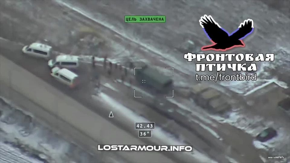 ����������� �������. ����� �.�. ��������������