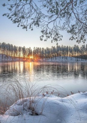 ������ ����!