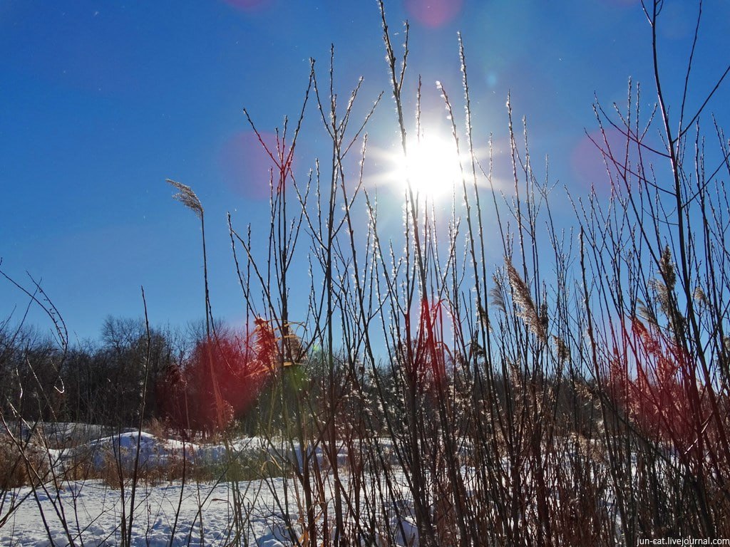 Доброе утро. А вы знали, что сегодня