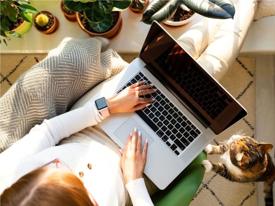 � ������� ���������� �� ����������� ���� ������ �����������: ��������� ������� ������� ������ ���� ����������