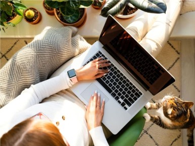 � ������� ���������� �� ����������� ���� ������ �����������: ��������� ������� ������� ������ ���� ����������