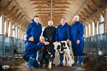 � ����������� #������� ������� ������ ������� IVP � �������� ������������� ������������