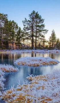 ���� ������ ����������!