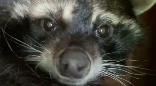 ������ ����, ������! �������� ��� ��� � ��������� ����������!