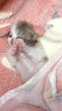 Ленивая суббота. В выходные можно поспать дольше