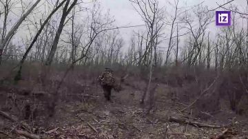 Снайперы группировки войск "Восток" уничтожили огневые точки и пресекли контратаку противника в Запорожской области