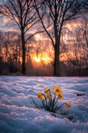 ������ ����!. �������, 28 �������