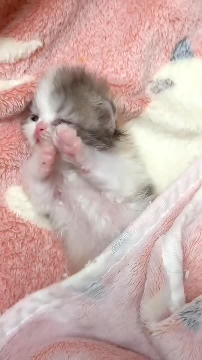 ������� �������. � �������� ����� ������� ������