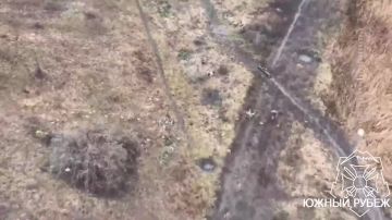 Операторы БПЛА Южной группировки сбросами с квадрокоптера уничтожили группу военнослужащих ВСУ в районе н.п. Долгая Балка — маскировку противник даже не попытался организовать