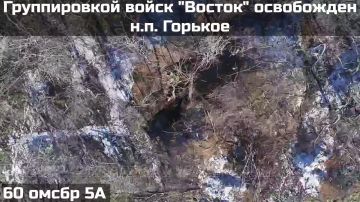 ПОДРАЗДЕЛЕНИЯМИ ГРУППИРОВКИ ВОЙСК "ВОСТОК" ОСВОБОЖДЕН НАСЕЛЁННЫЙ ПУНКТ ГОРЬКОЕ