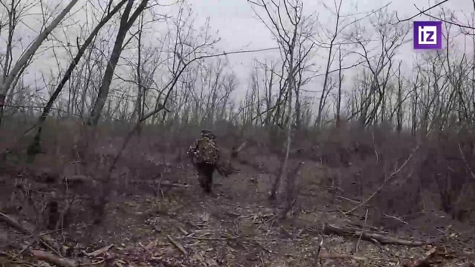 �������� ����������� ����� "������" ���������� ������� ����� � �������� ���������� ���������� � ����������� �������