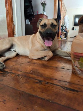 ������� ������. ������, ����� ������