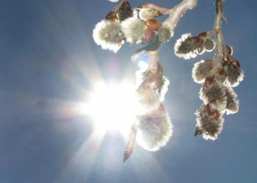 Доброе утро. А вы знали, что сегодня