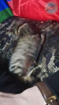 ������� � ������ ���������� ���� �����