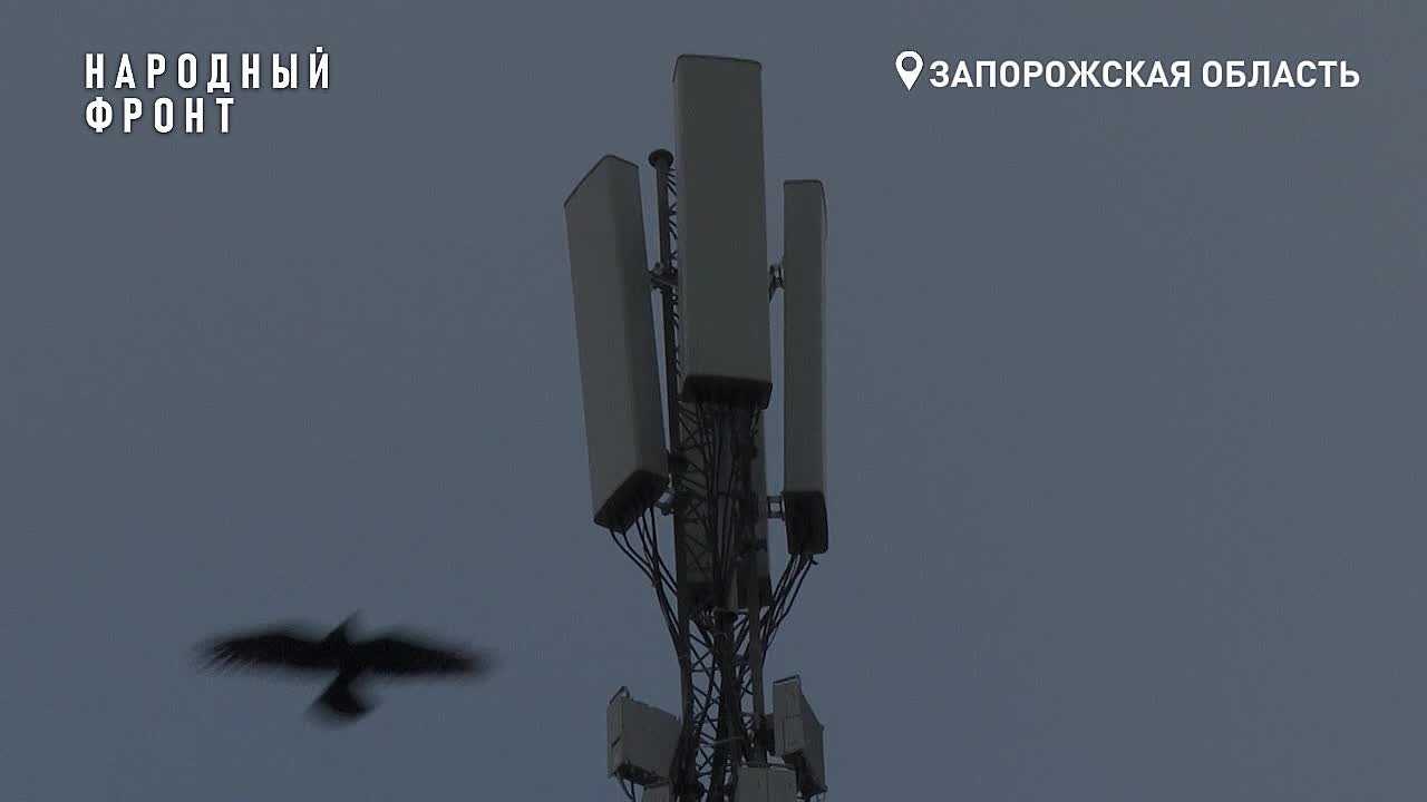 Народный фронт помогает противостоять неприятельскому террору