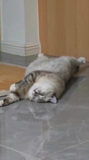 ���������� ����. ���������� �������� � ������ �� ������