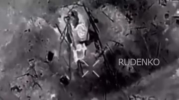 ������ �������: ��������� ���� ����������� ����� ������� ������� ���������� �������� ��� � ���� ���������� ����������� ������� �������� � ����������� �������