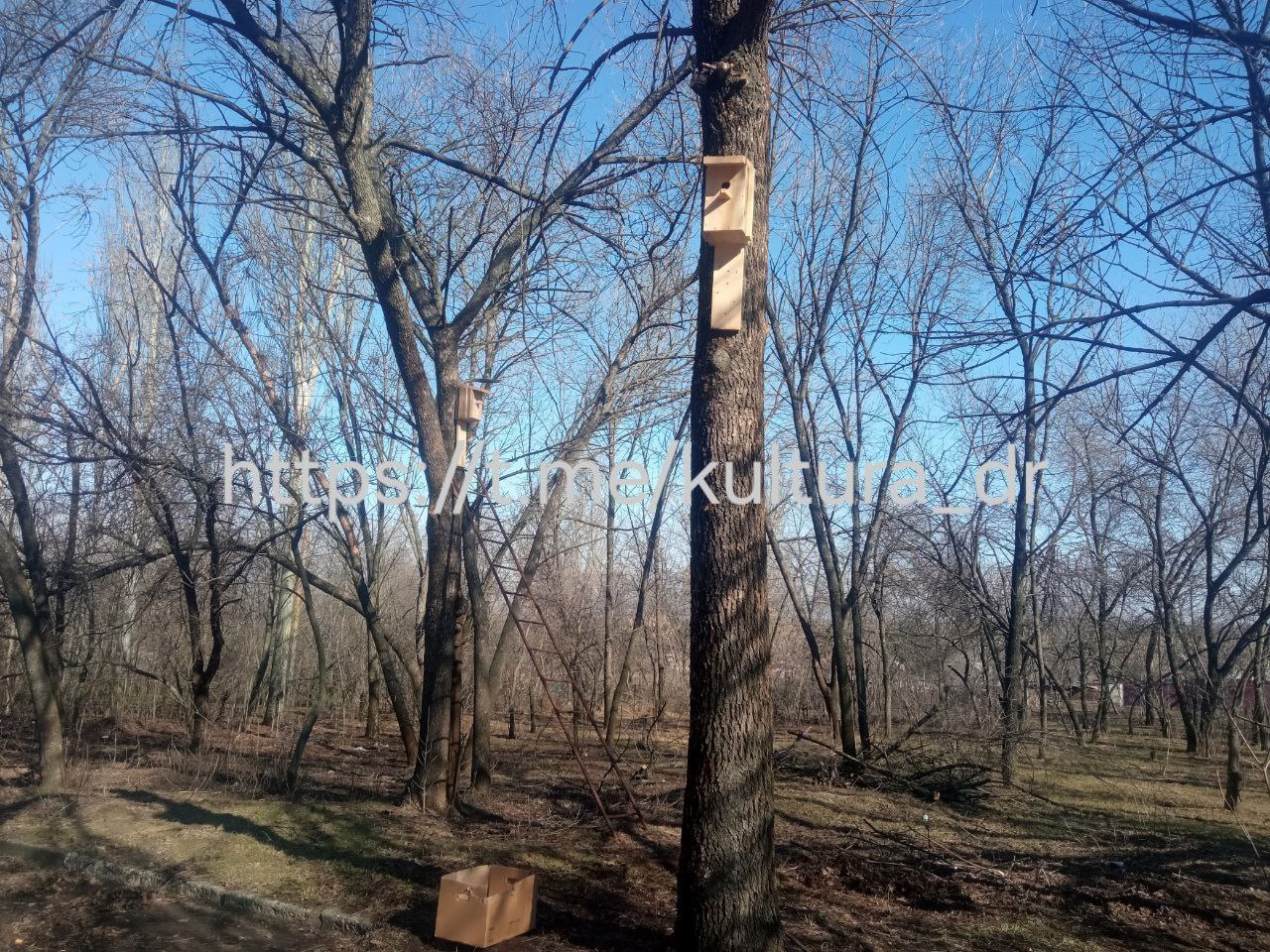 У Златопольского клуба — новые скворечники! У Златопольского клуба — новые скворечники!