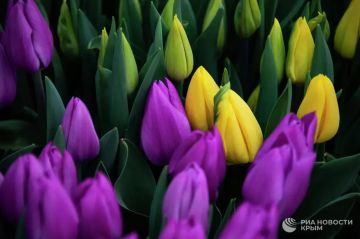 Погода на новых территориях России