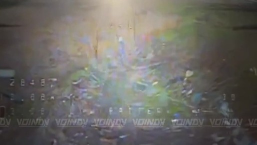 ��������� ���� 5 ����� ����������� ����� "������" ���������� �������� ����� � ���� ���������� � ����������� �������