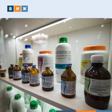 Россельхознадзор лицензировал первые ветаптеки в Херсонской и Запорожской областях