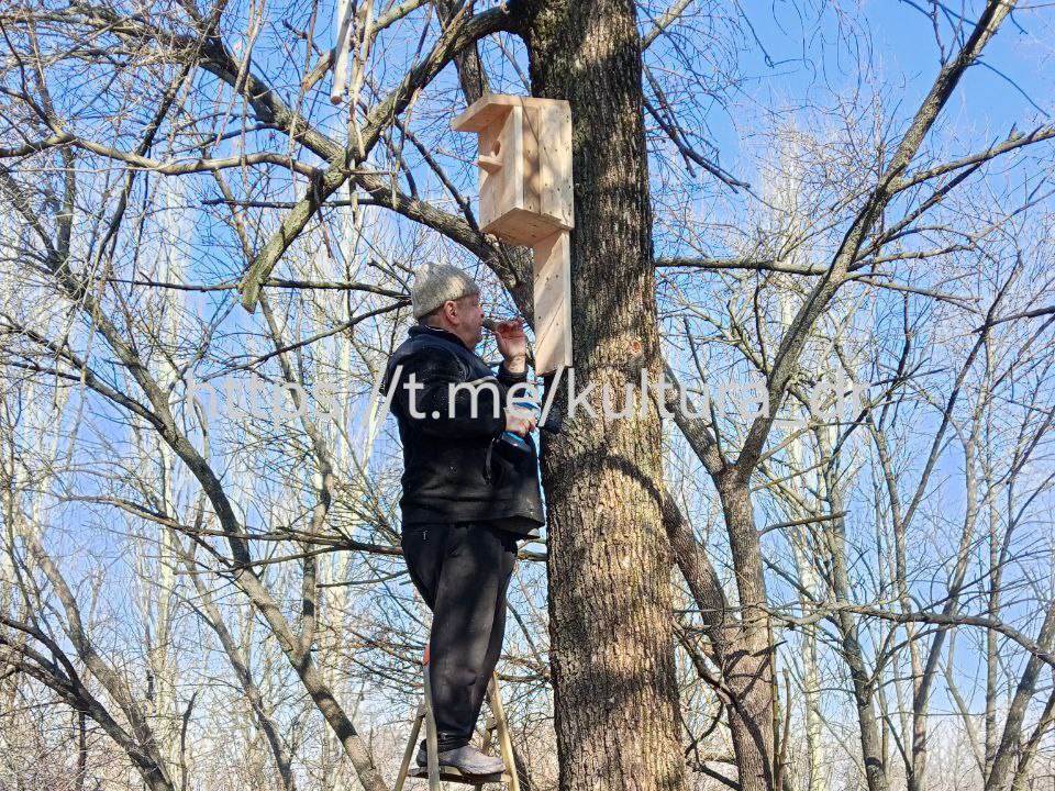 У Златопольского клуба — новые скворечники! У Златопольского клуба — новые скворечники!