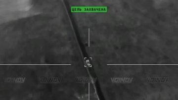 ������ ���������� ������� ���� 14 ����������� ������� �������� ����������� ����� "������" �� ����������� ������� �� ���������� �����������