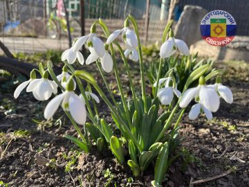 Доброго утра и прекрасного мартовского настроения!