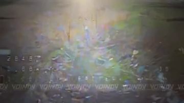 ��������� ���� 5 ����� ����������� ����� "������" ���������� �������� ����� � ���� ���������� � ����������� �������