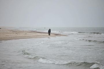 � ����������� ������� ������������ � ������ �� �������� ����