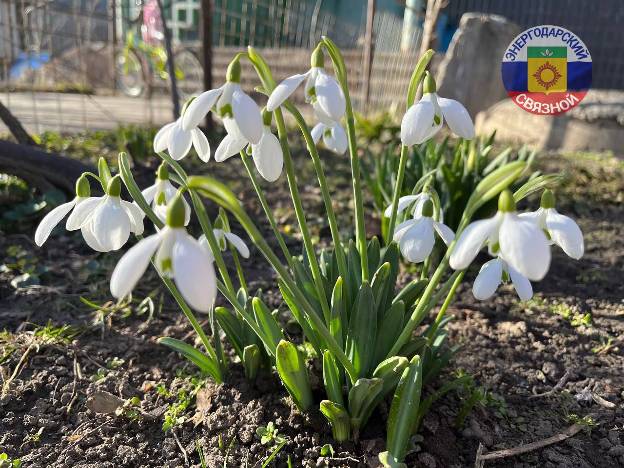 Доброго утра и прекрасного мартовского настроения!